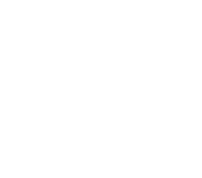 Daman insurance logo