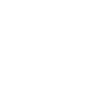 MSH International insurance logo